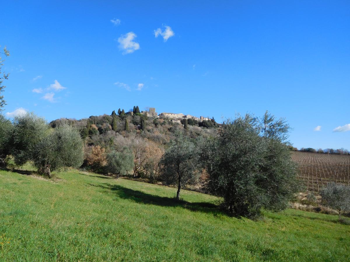 Отель Borgo Vecchio Монтальчино Экстерьер фото